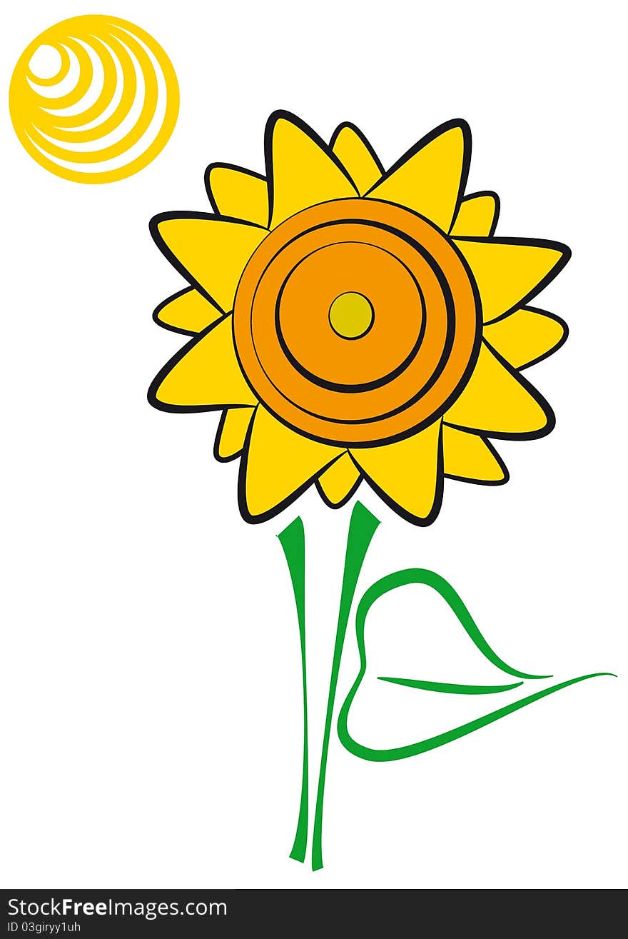 Yellow sunflower with sun