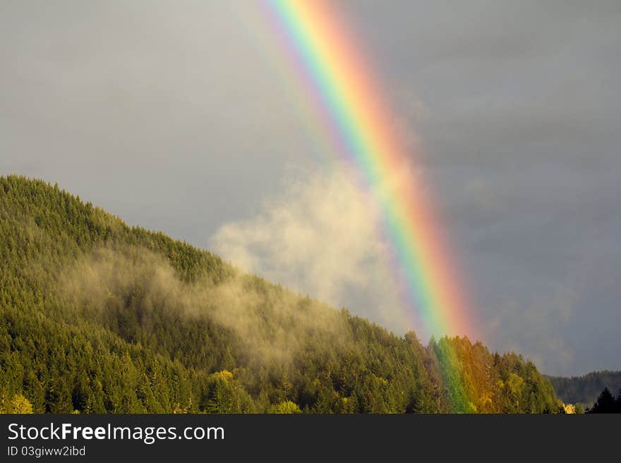 Late Spring rainbow above forest of fir trees photographed in southern Willamette valley near Cottage Grove, Oregon. Late Spring rainbow above forest of fir trees photographed in southern Willamette valley near Cottage Grove, Oregon.