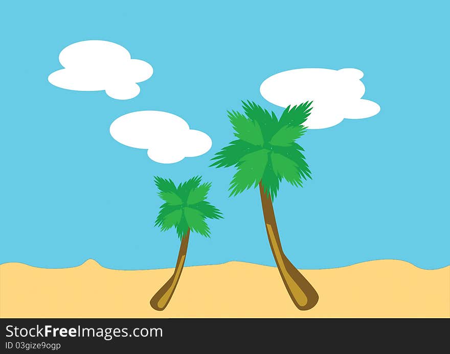 Palm Trees On The Beach