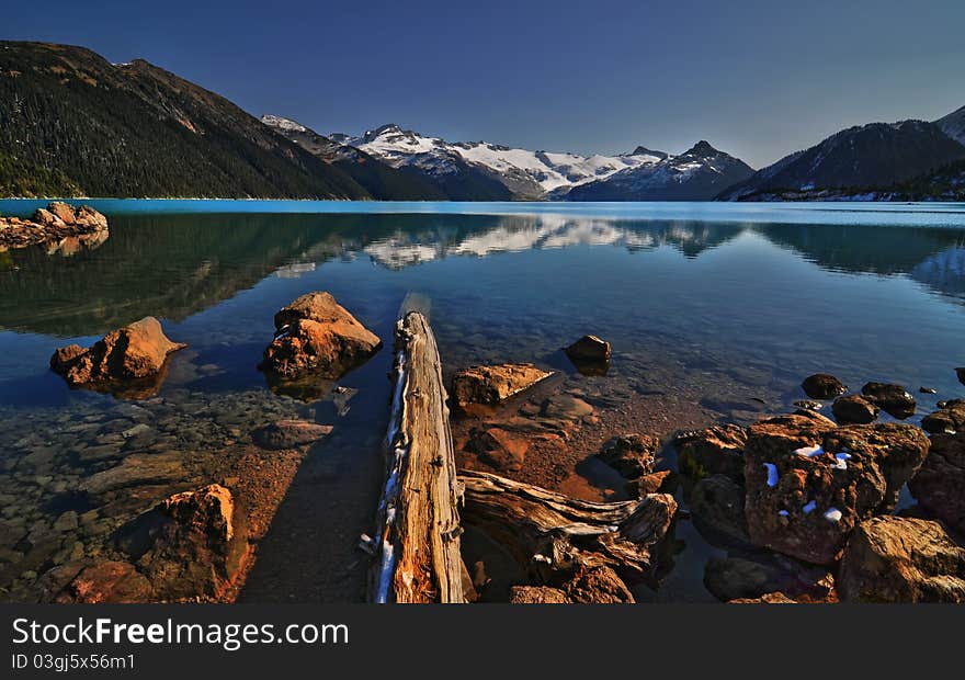 Driftwood in mountain lake