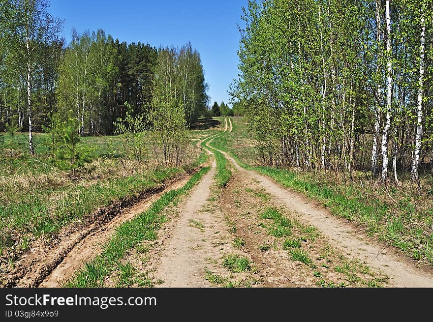 Country dirt road in new forest