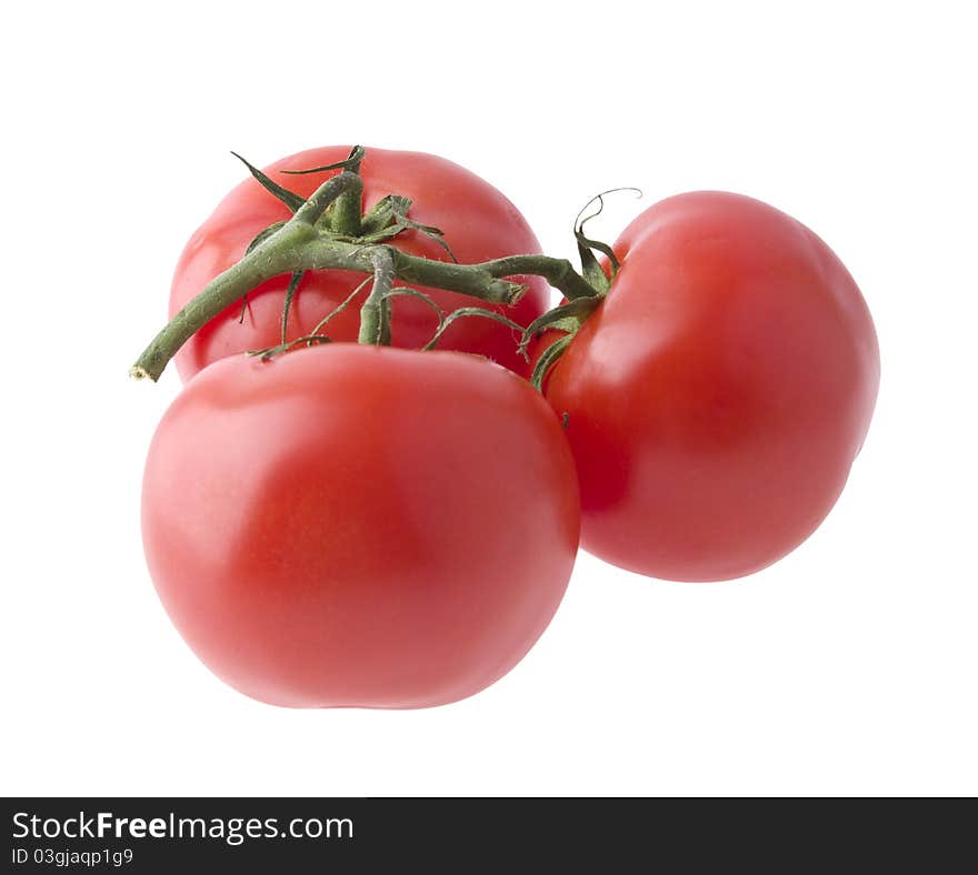 Tomatoes on a green branch