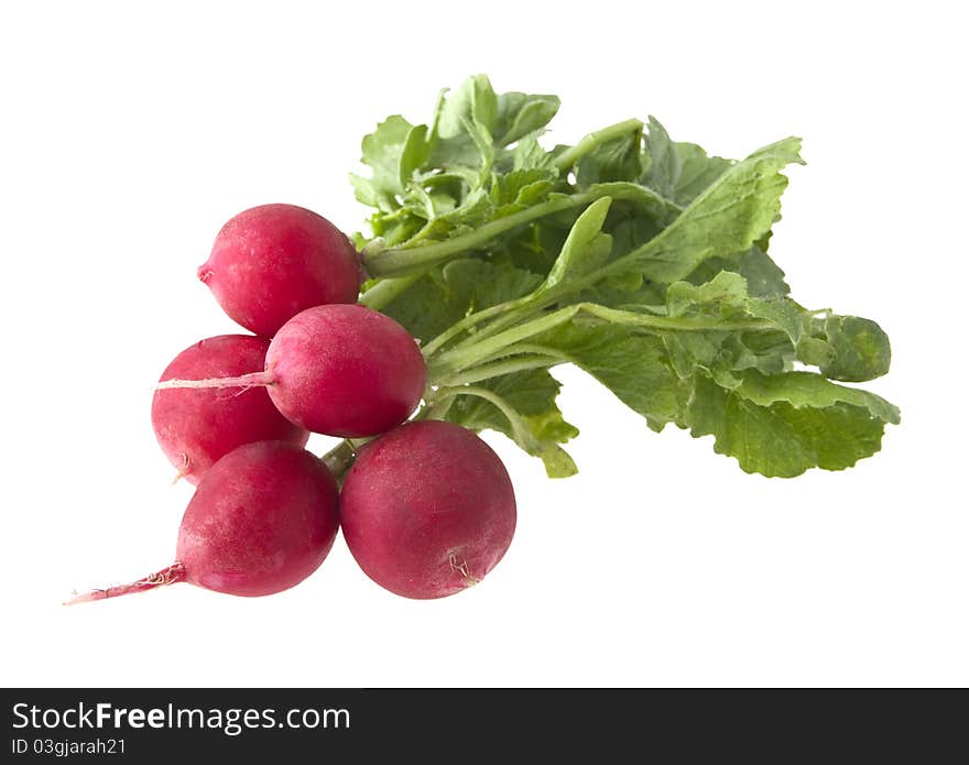 Garden radish with green leaves on a white background