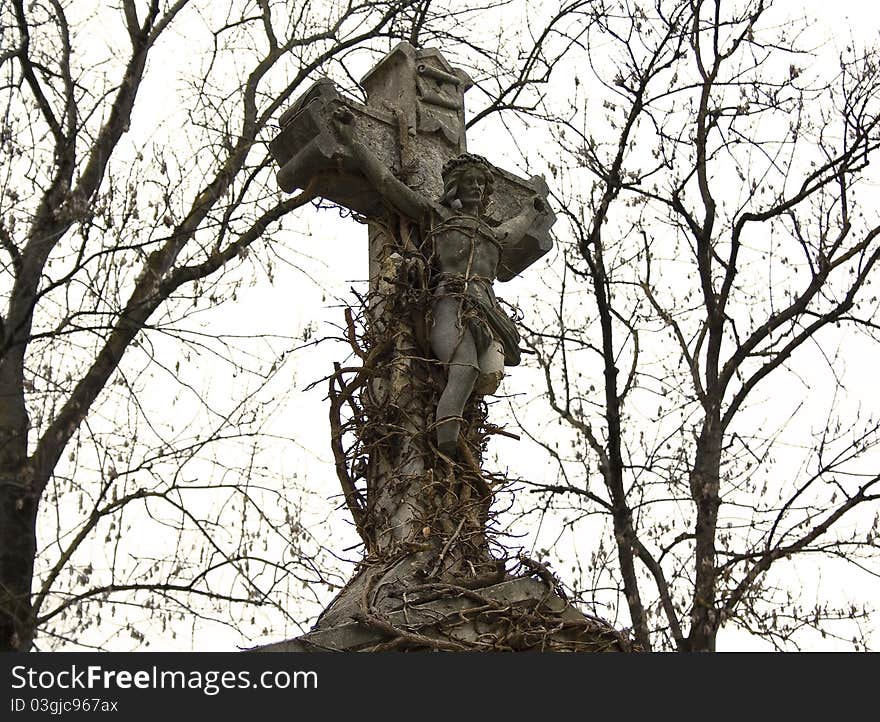 This is a photo depicting Jesus Christ and the statue has been eaten by nature, paradoxally, because God created nature. This is a photo depicting Jesus Christ and the statue has been eaten by nature, paradoxally, because God created nature.