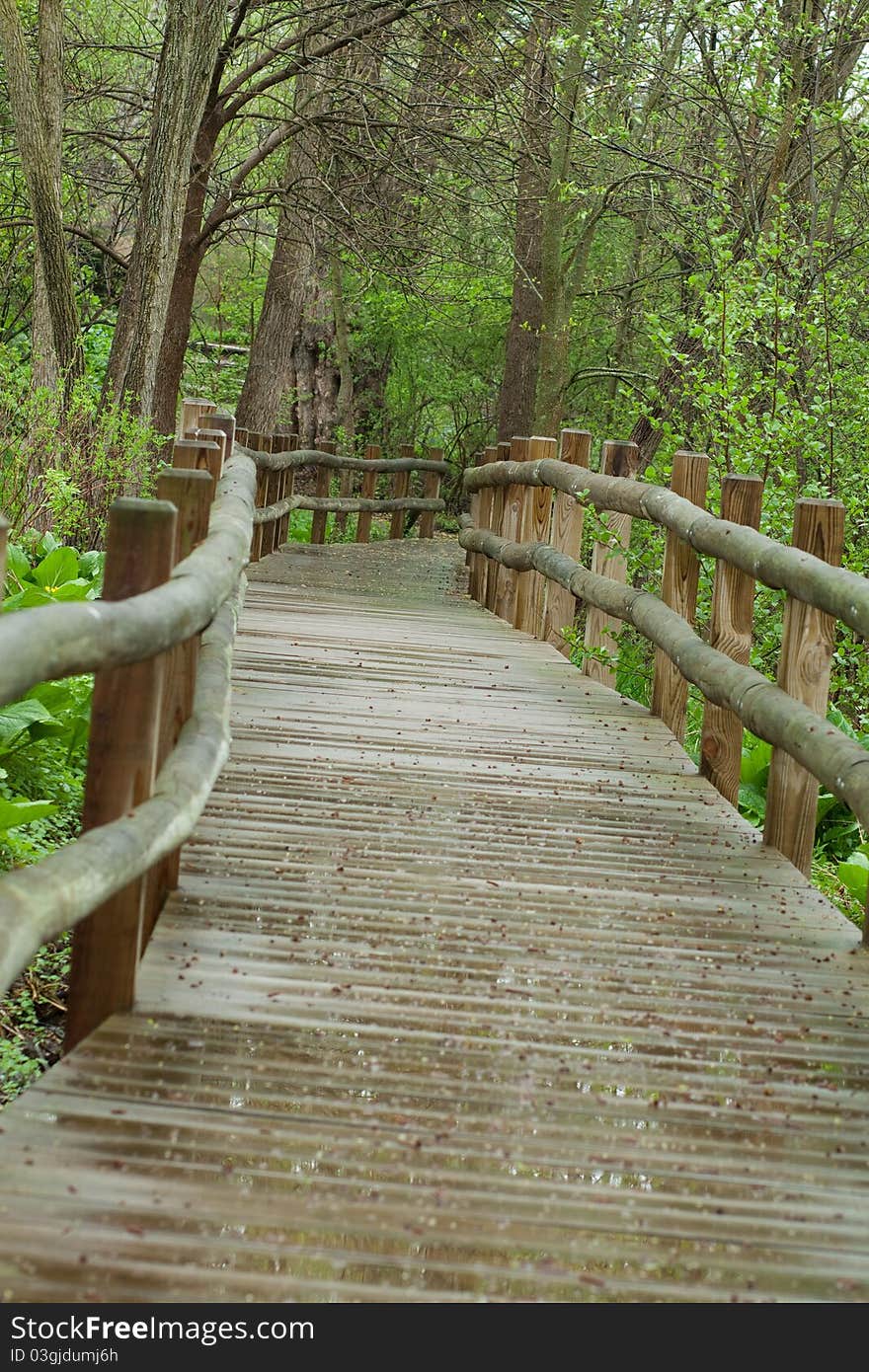 A wood bridge leads through a park filled with trees.