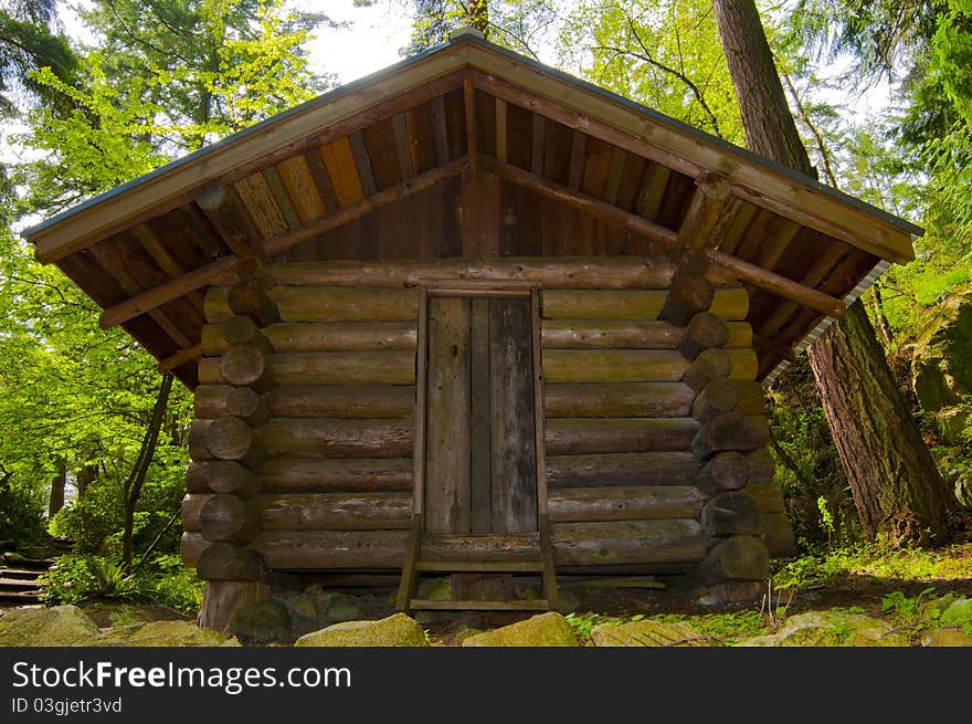 Small lodge house in a forest