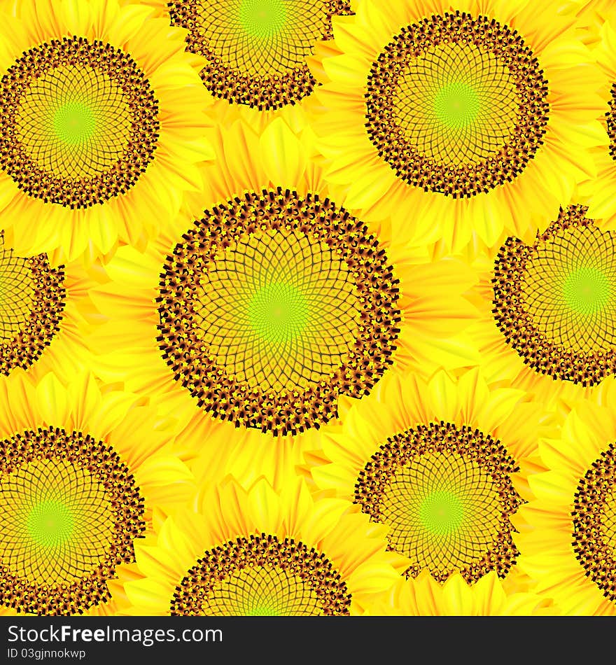 Seamless background from sunflowers. Illustration.