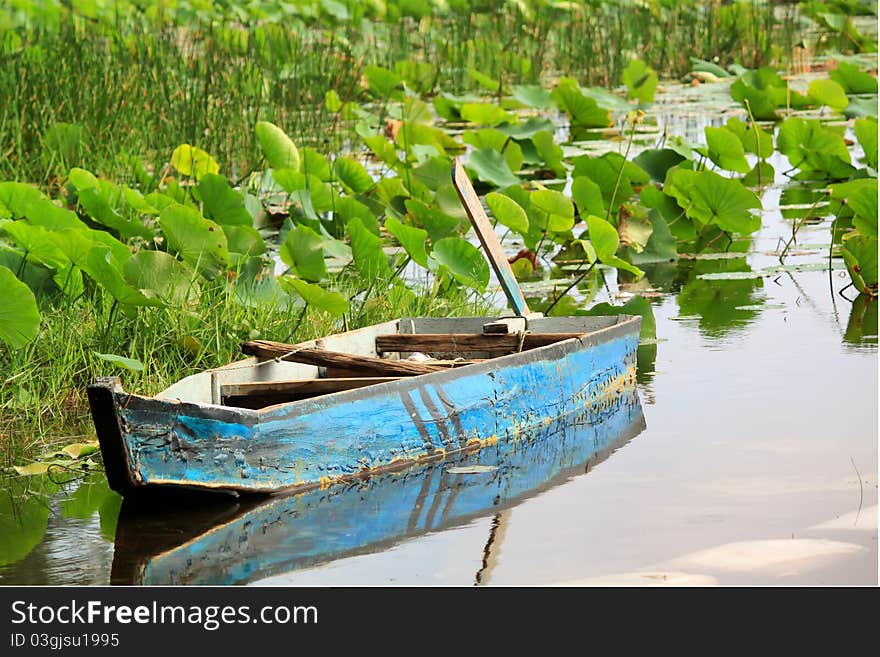 Photo of lotus lake with a boat