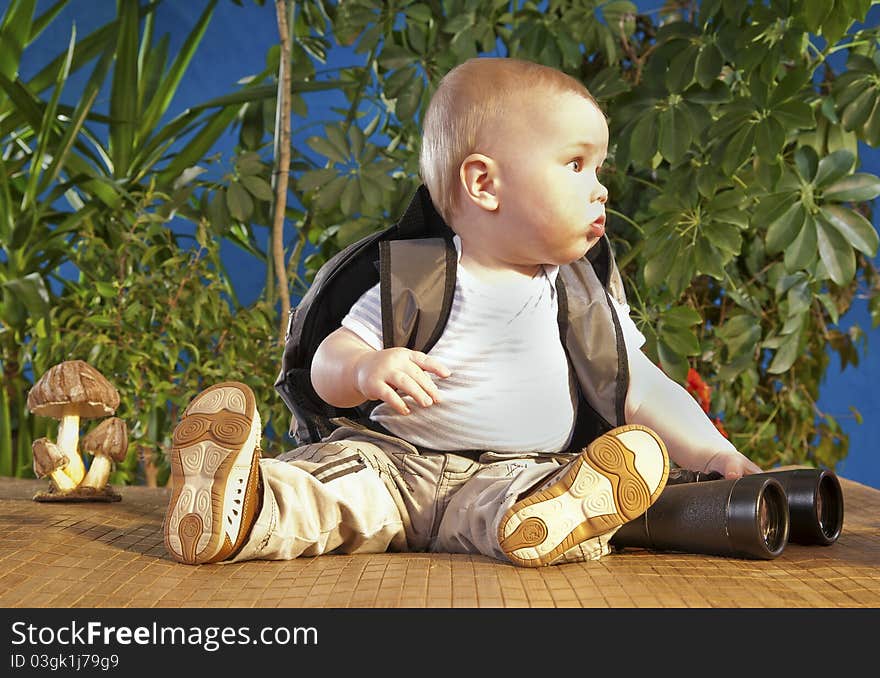 sits on a background of green shrubs. sits on a background of green shrubs.