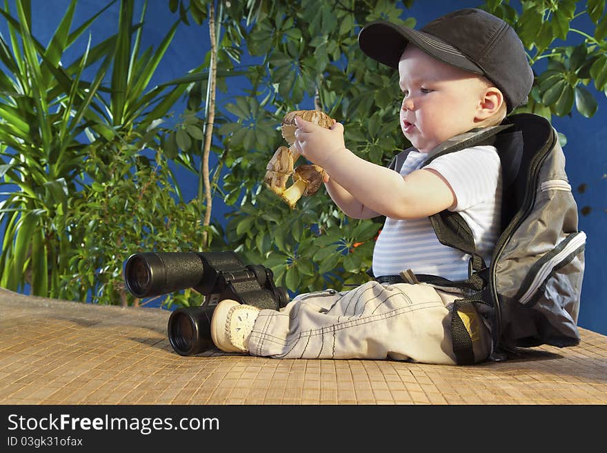 Sits on a background of green shrubs. Sits on a background of green shrubs.