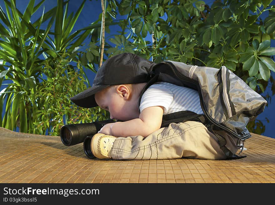 Sits on a background of green shrubs. Sits on a background of green shrubs.