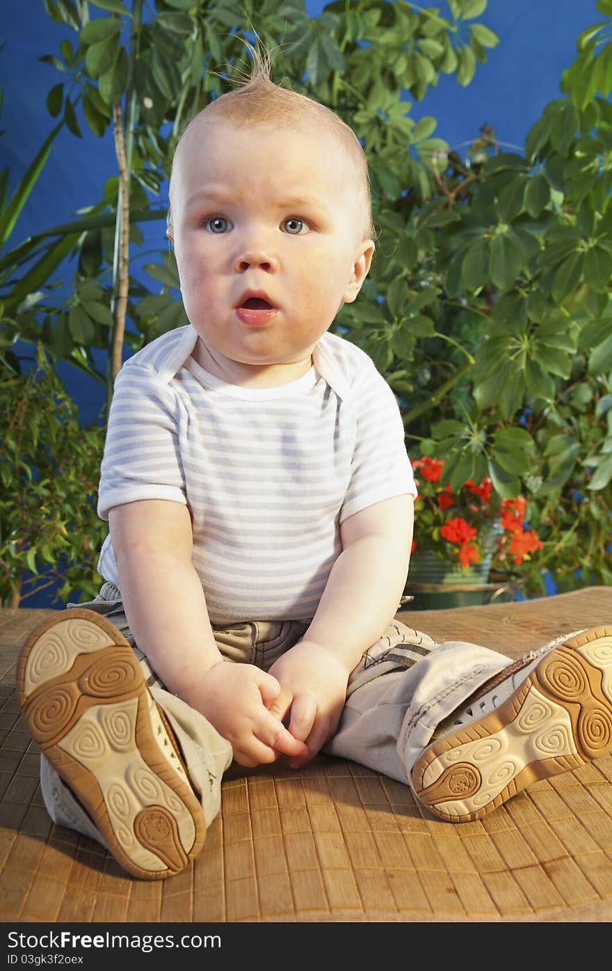 Sits on a background of green shrubs. Sits on a background of green shrubs.