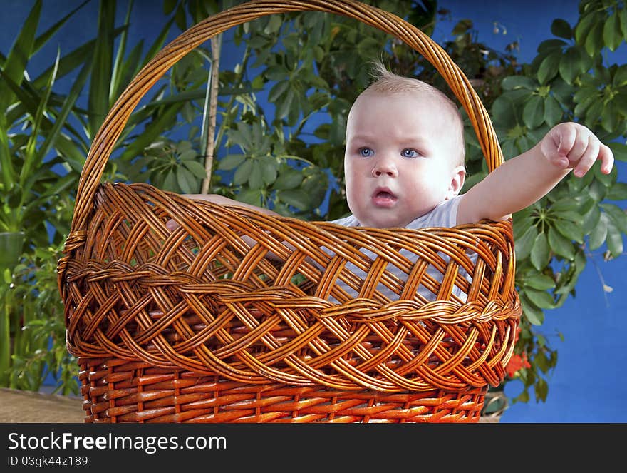 The baby sits in a large basket