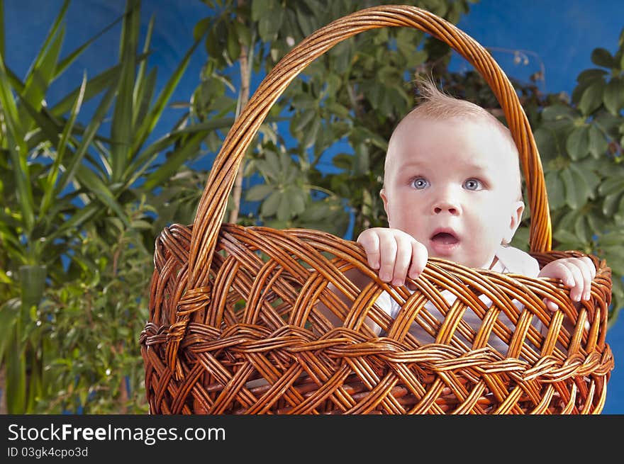 The Baby Sits In A Large Basket