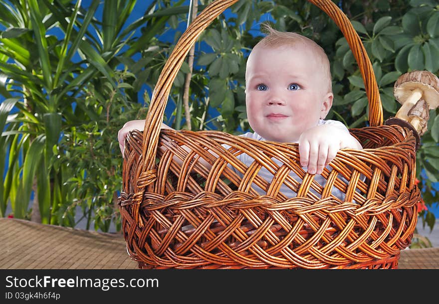 The baby sits in a large basket