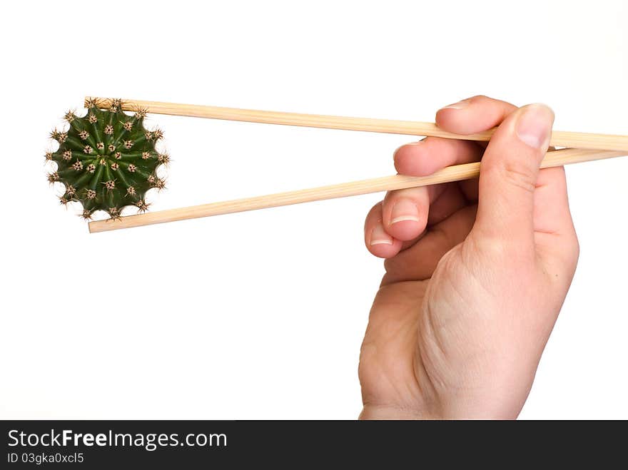 Cactus picked up by chopsticks