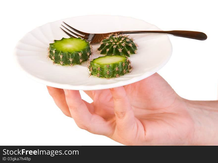 Cactus dish