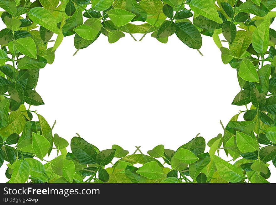 Creative frame made of spring leaves