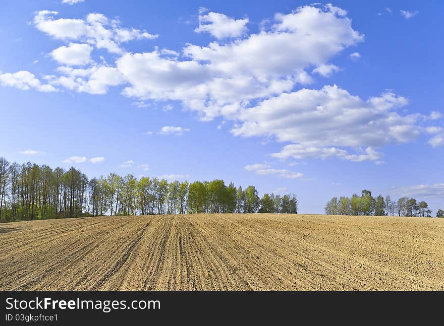 Spring Landscape