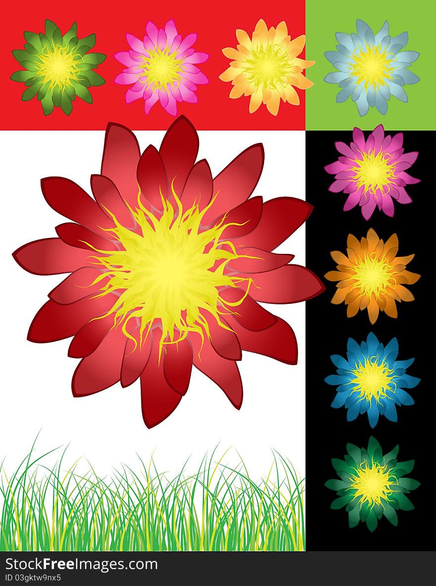 Flower set for your design