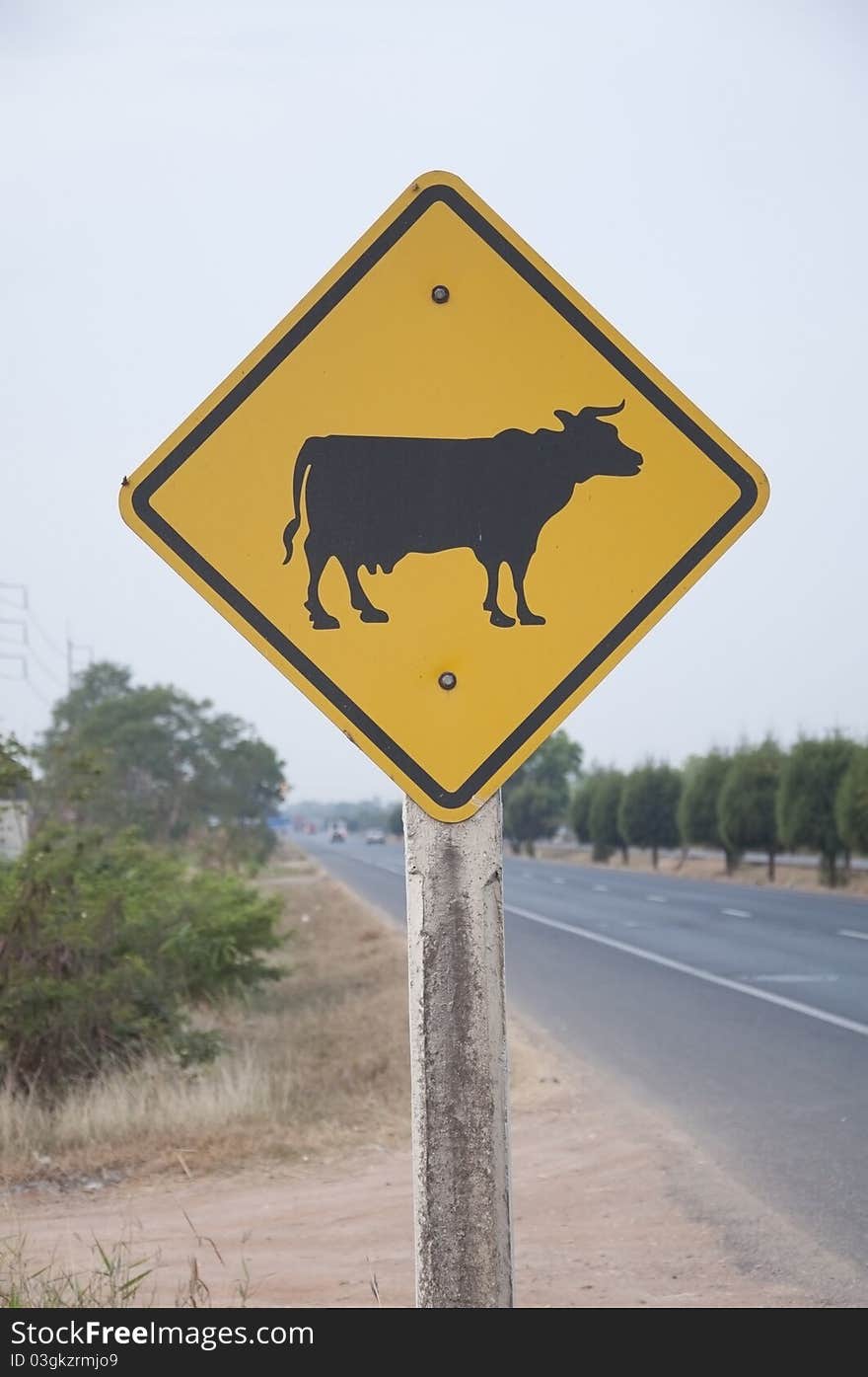 Cow symbol as the road background