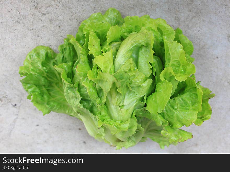 Lettuce on the ground