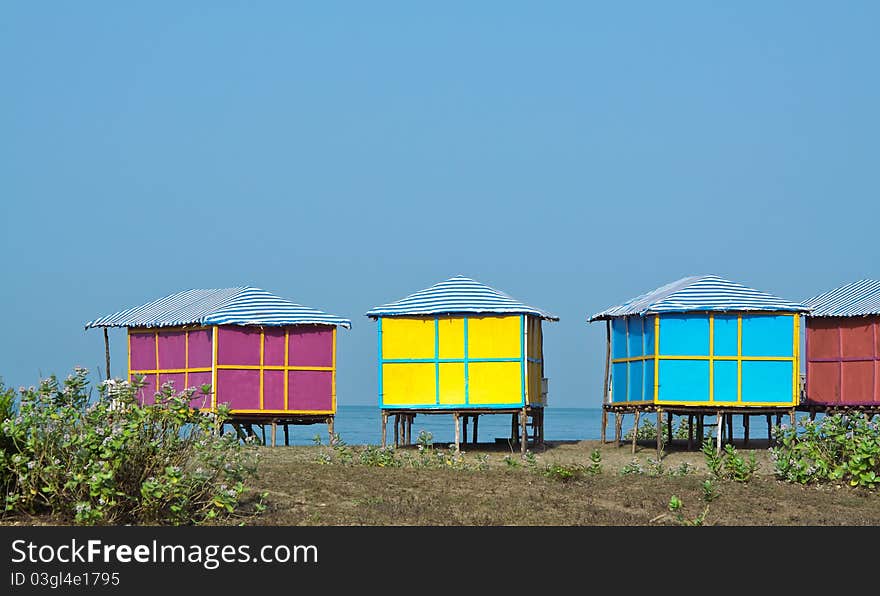 Life On The Beach