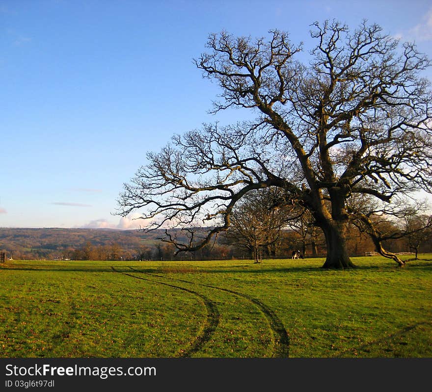 Farmers Field