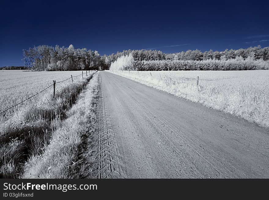 Landscape in the infrared