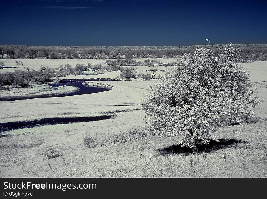 Landscape in the infrared