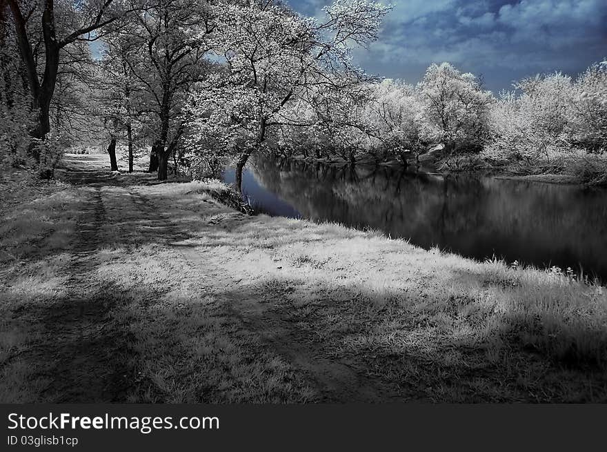 Landscape in the infrared