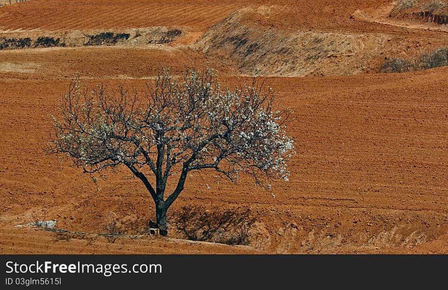 The fields began to plowing in spring. The fields began to plowing in spring.