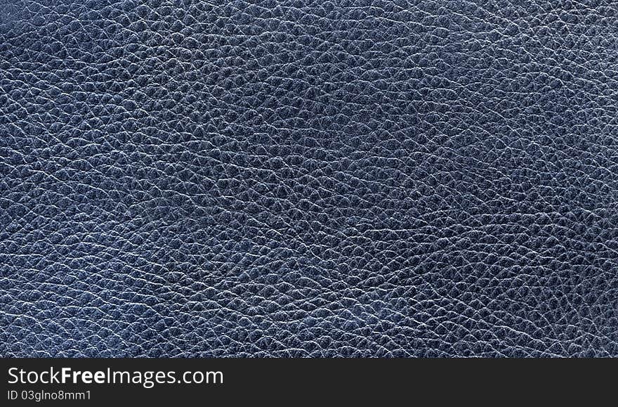 Leather Texture