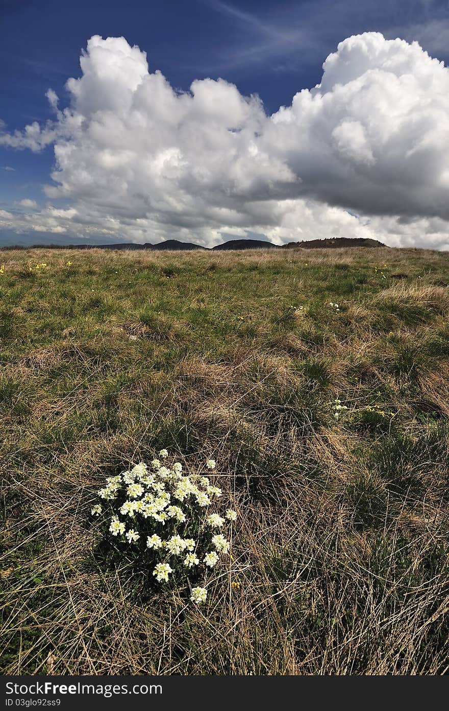 Beautiful spring landscape from the macedonian mountain