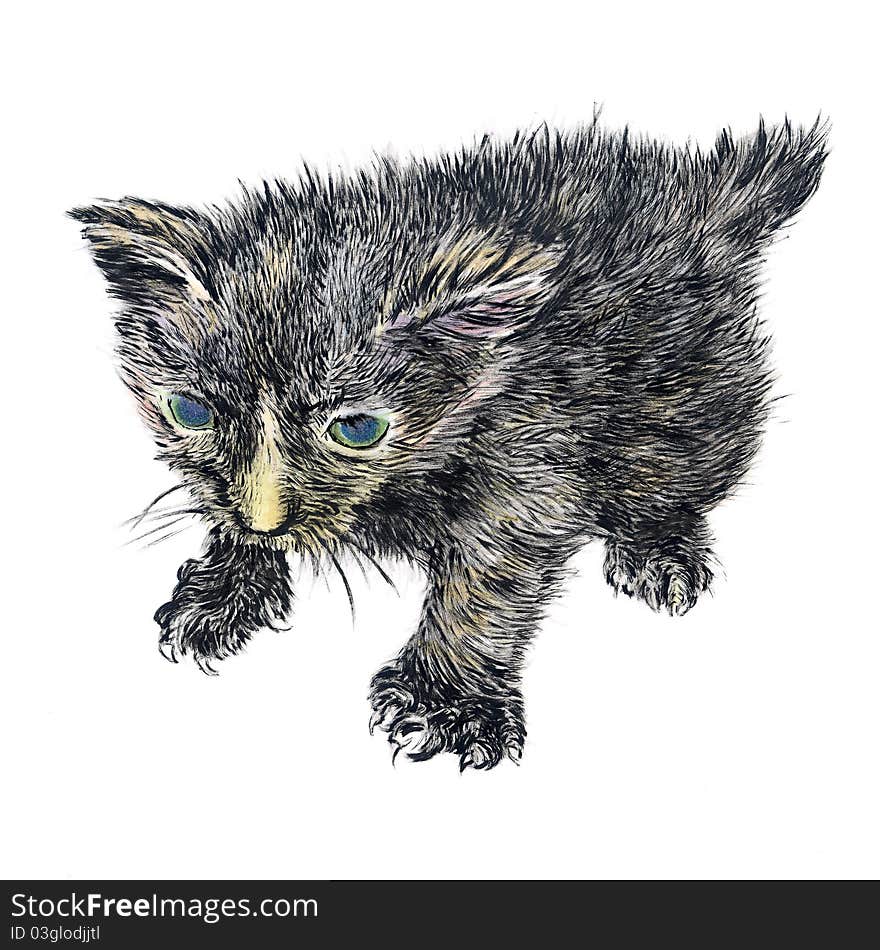 Hand-drawn illustration of a newborn kitten. Hand-drawn illustration of a newborn kitten