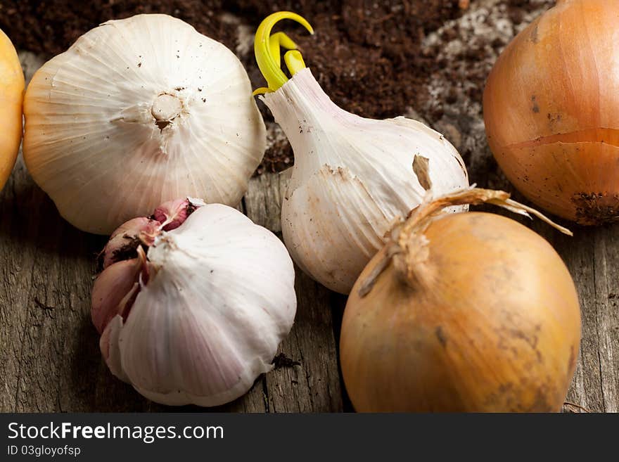 Garlics and onions on old wooden table