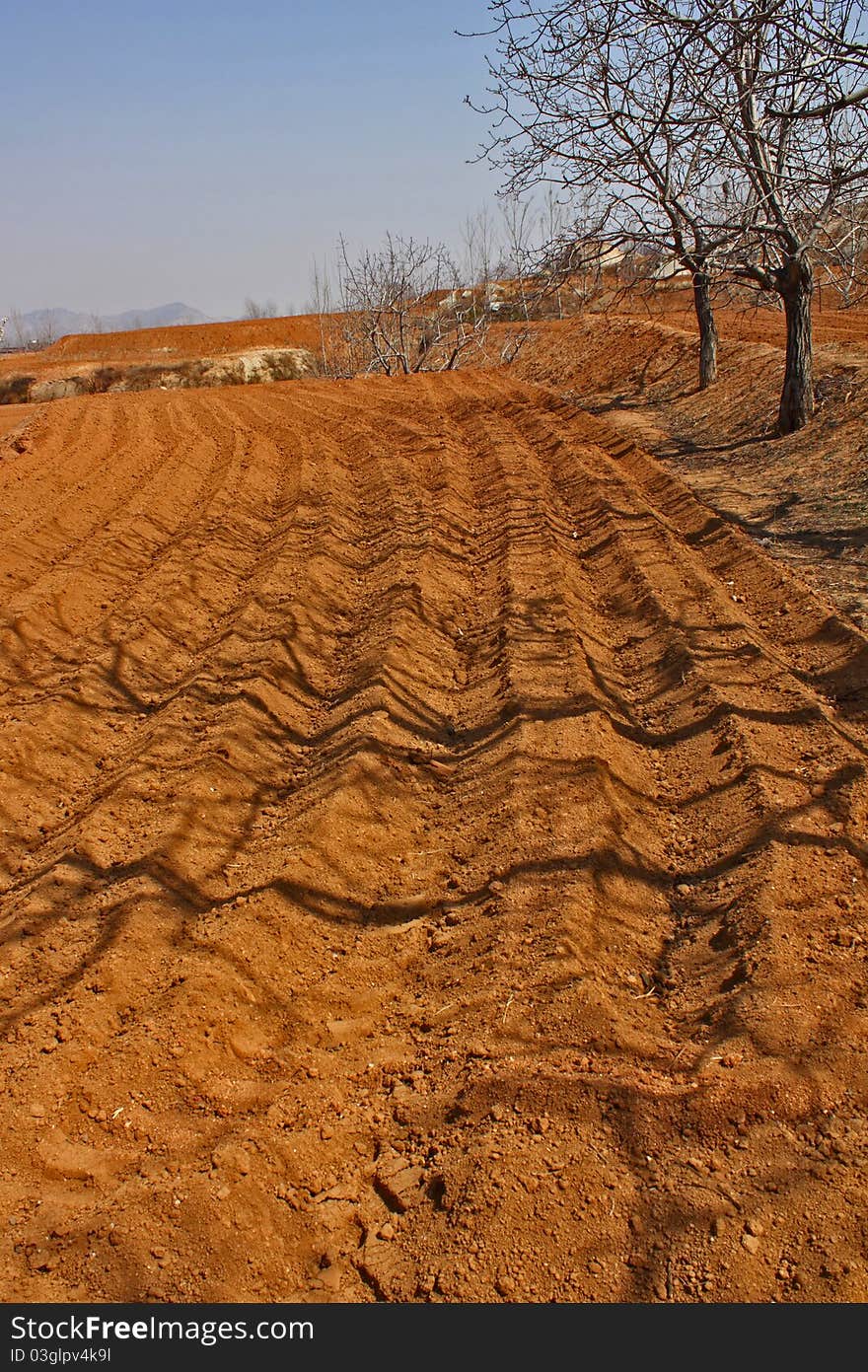 The fields began to plowing in spring. The fields began to plowing in spring.