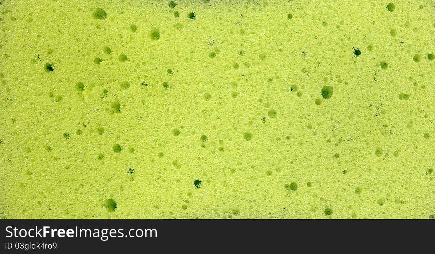 Macro-shot of soft sponge in lime color. Macro-shot of soft sponge in lime color.