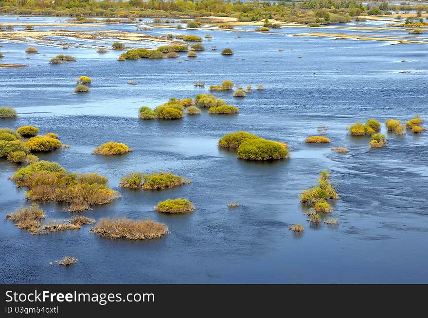 Floods in late spring. Meadows. Forests in the water. Floodplain river. Reserve.