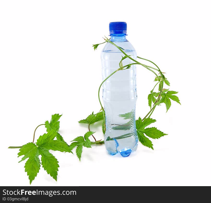 bottle of water with a sprig of flowers