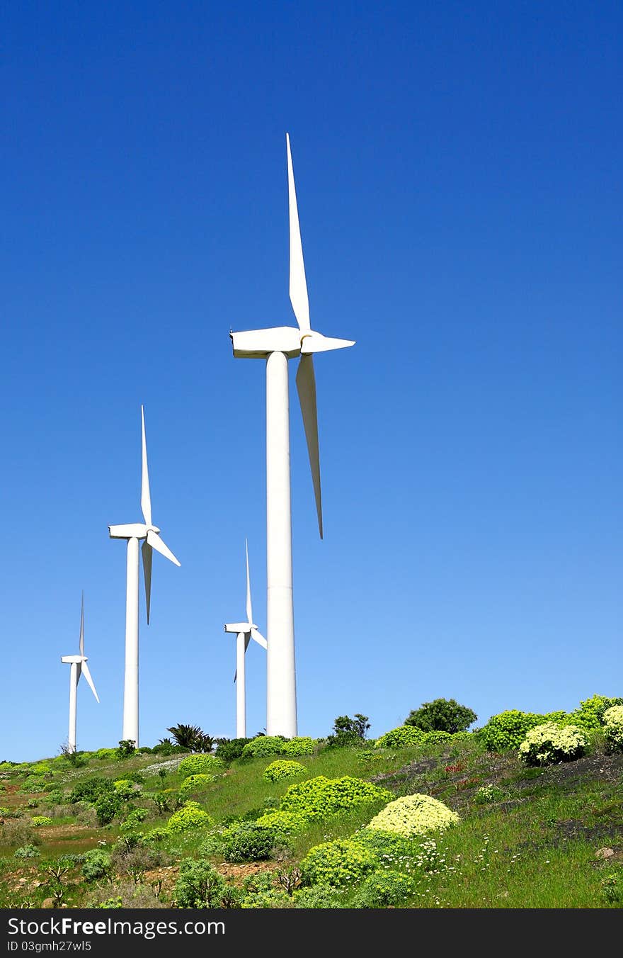 Eolic generators in a wind farm. Eolic generators in a wind farm