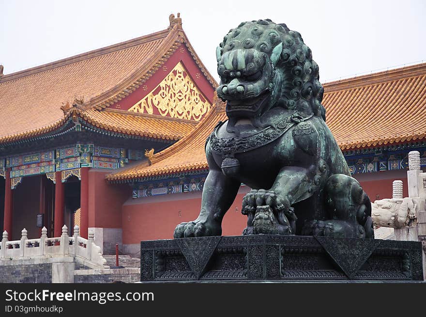 Chinese Copper Lion