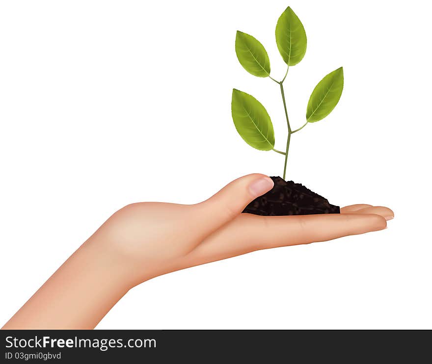 Person holding a young plant. Vector illustration. Person holding a young plant. Vector illustration.