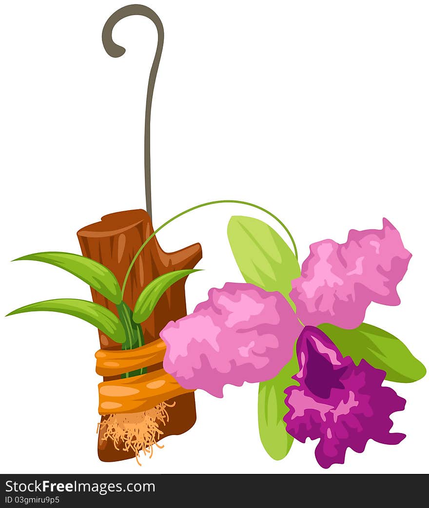 Illustration of isolated a beautiful orchid on white