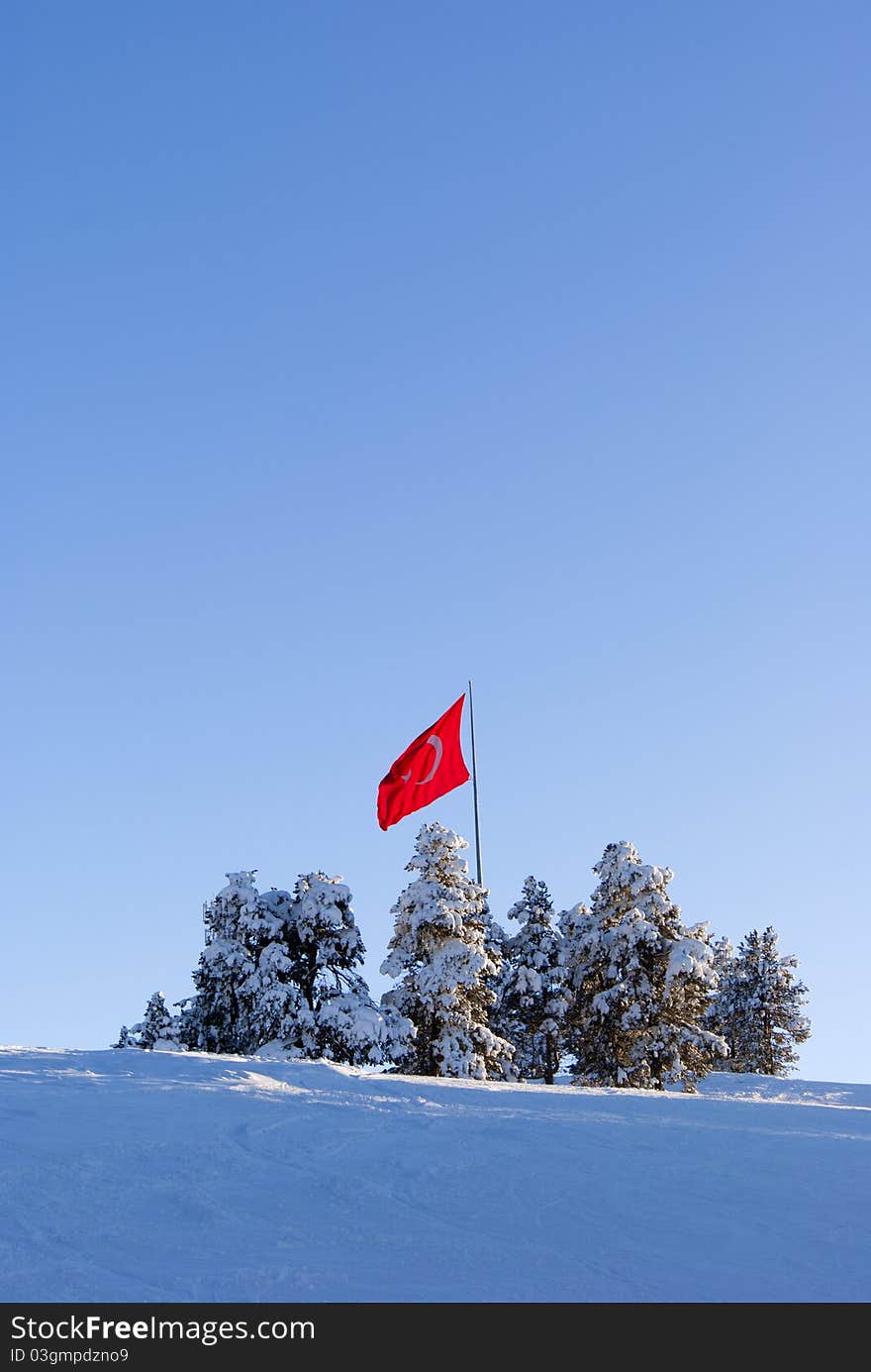 Red flag of Turkey of the top of mountain. Sarikamis.