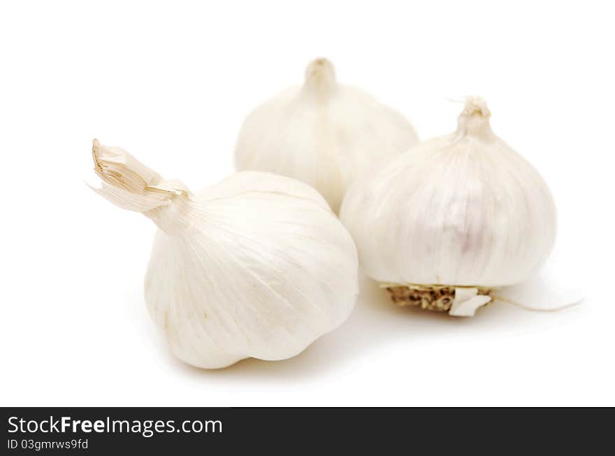 Garlic on white background.