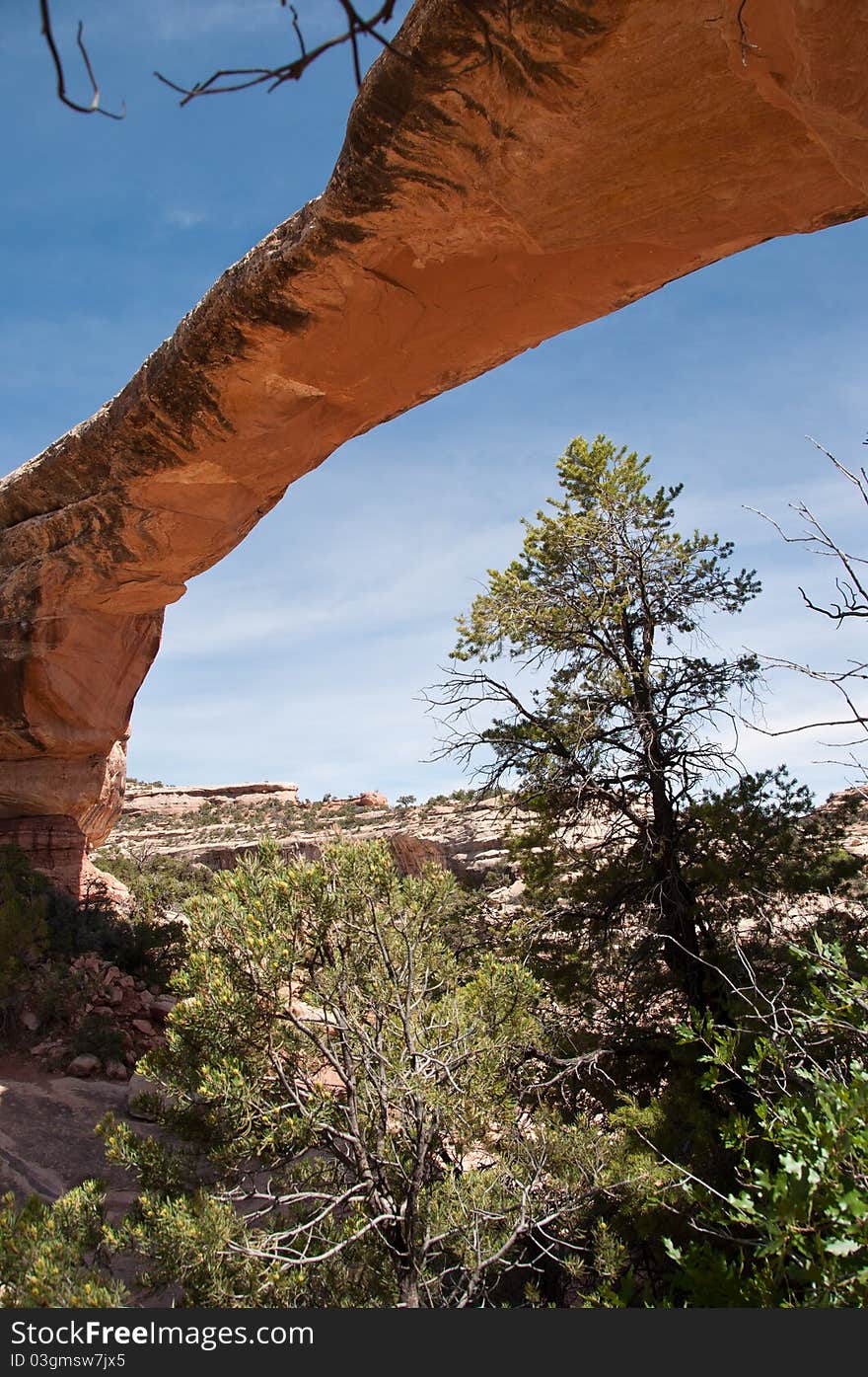 Natural Bridges National Monument - Owachomo Bridge