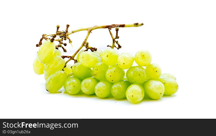 Isolated Green Grapes with white background