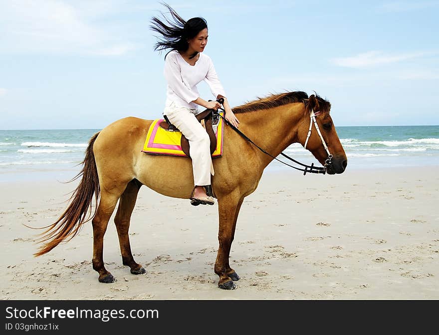 Young woman riding a horse on the beach