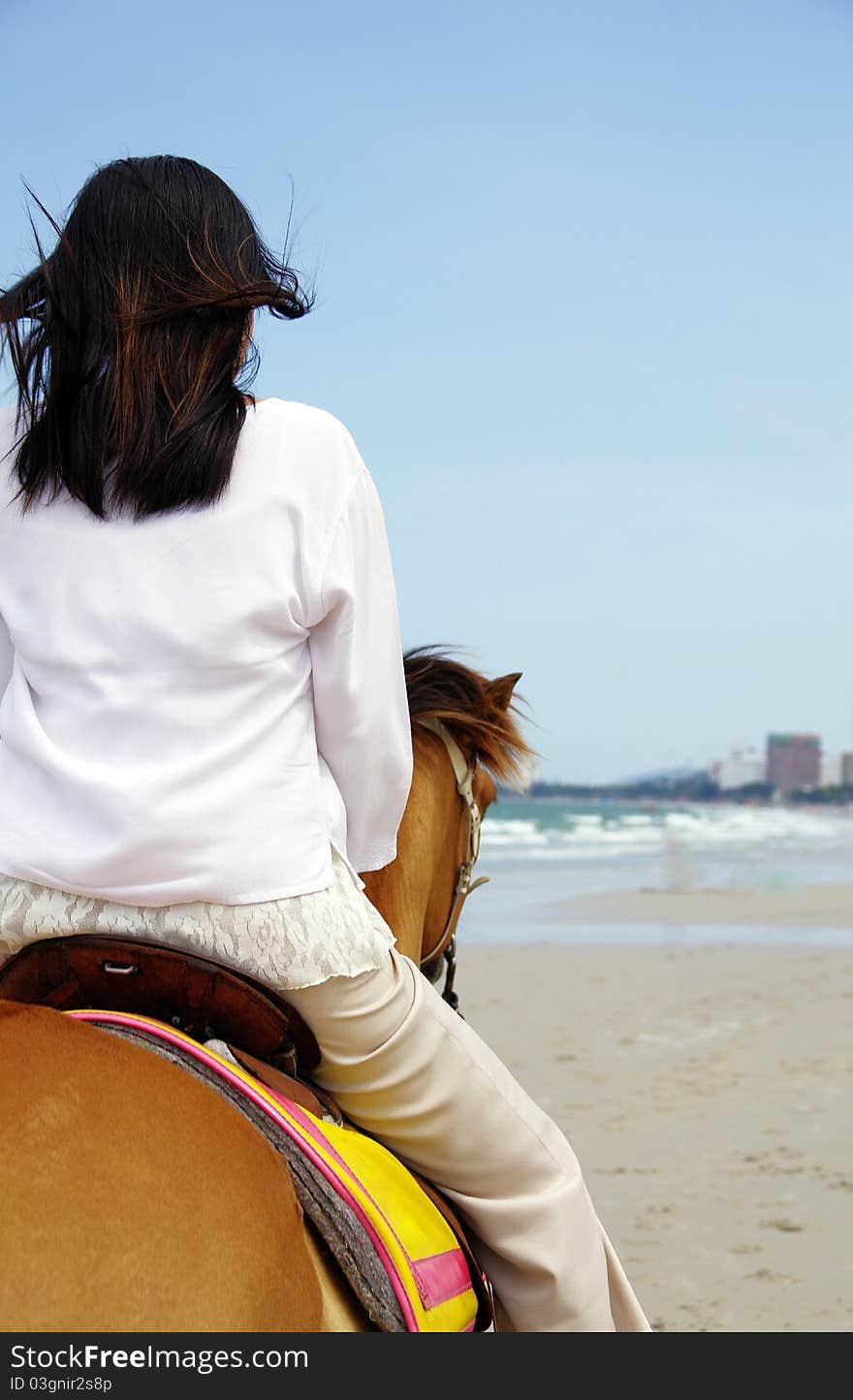 Young woman riding a horse on the beach